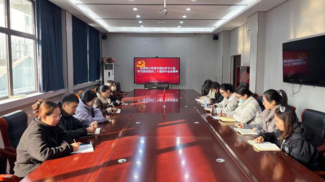 化學所公司青年理論學習小組學習貫徹黨的二十屆四中全會精神